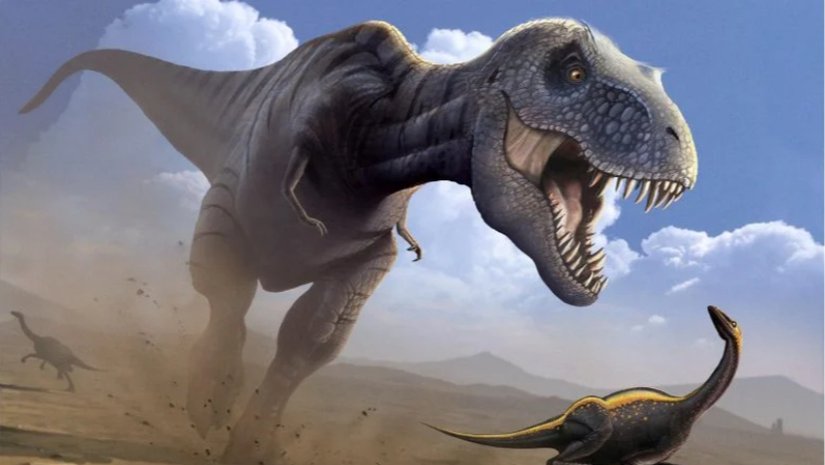 T. Rex Sandığımızdan Daha da Devasa Olabilir!