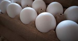 Soaring Egg Prices Spark Black Market Surge And Government Response