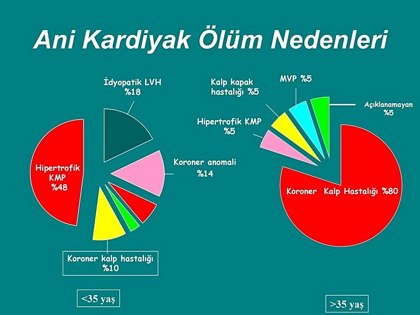 Ani kardiyak ölüm nedenleri ve yaşa bağlı olarak değişen bulgular
