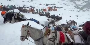 Fierce Everest Blizzard Traps Hundreds In Sudden Storm
