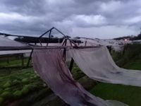 Forte temporal atinge Chapecó e deixa estragos