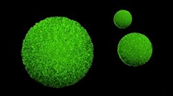 Banach-Tarski Paradoksu