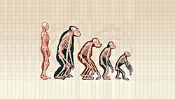 Evrim Teorisi'ne Neden İnanmak İstenilmez?