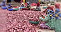 Centre withdraws 20% onion export duty as prices slump