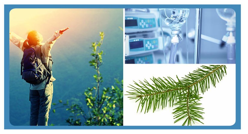 Kanser Tedavisinde Kullanılan Doğal Bileşik Paklitaksel