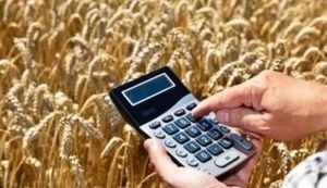 Kazakhstan Agricultural Exports Surge Amid Growing Global Demand