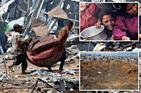 Israeli stats show civilian death rate in Gaza war is 83%, report claims — as government denies data