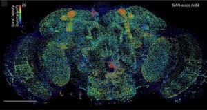 Innovative Microscope Technique Reveals Brain's Membrane Structure