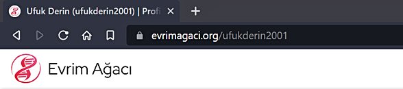Seçtiğiniz kullanıcı adı, Evrim Ağacı sitesinde profilinize gitmenizi sağlayacak ve profilinizde görünecektir.
