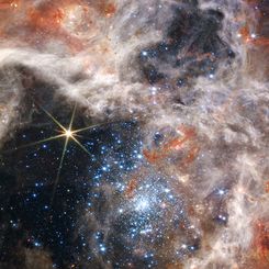  Tarantula Stars R136 from Webb 