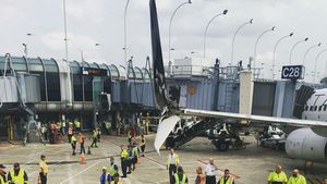 Collision At O'Hare Airport Leaves United Employee Critically Injured