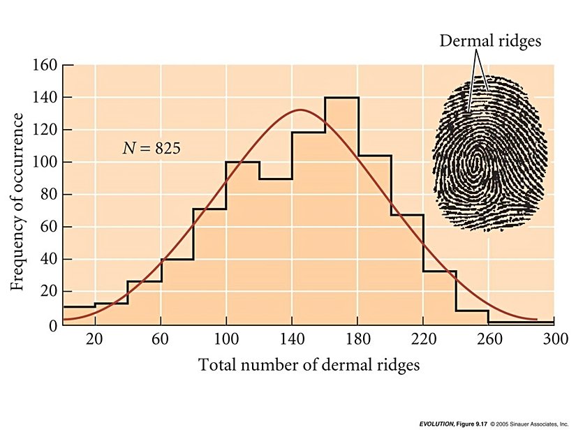 İnsanlarda görülen parmak izi tepeciği çeşitliliği dağılımı...