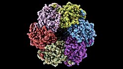 Vücudumuzdaki Trilyonlarca Saat, Zamanı Nasıl Tutuyor?