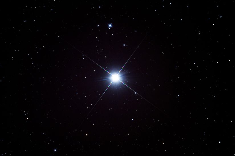 Procyon