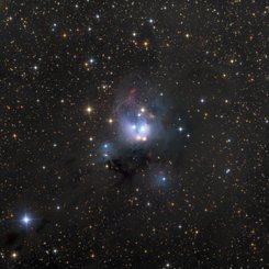 Young Suns of NGC 7129
