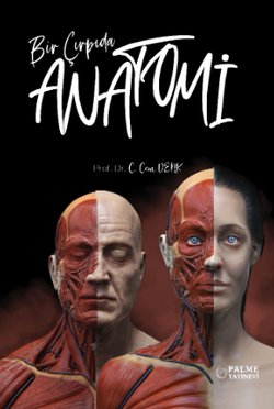 BİR ÇIRPIDA ANATOMİ