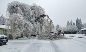 Winter Weather Disrupts Lives Across America