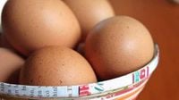 Salmonella concerns prompt egg recall