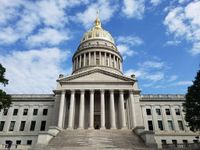 Senate committee moves bill to ban lab-grown meat - Dominion Post