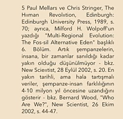 Milyon yıl başına DNA mutasyon oranı kaçtır?