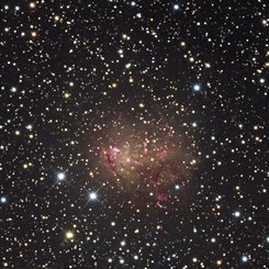 Starburst Galaxy IC 10