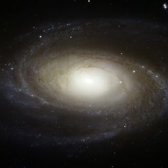 Bright Spiral Galaxy M81 from Hubble