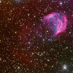 The Medusa Nebula