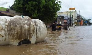Torrential Rains Leave Dozens Dead Across Mexico