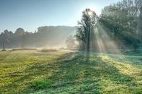 What is happening in Mississippi? 2 men found dead, hanging from trees...
