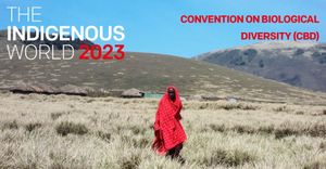 Indigenous Representation Established At COP16 Biodiversity Summit