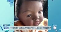 Câmara do Rio de Janeiro aprova criação do Dia da Cegonha Reborn