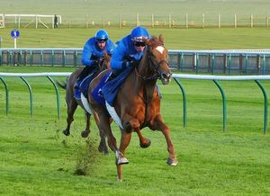 Desert Flower And Lake Victoria Set For 1,000 Guineas Showdown
