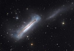 NGC 3628’in Portresi