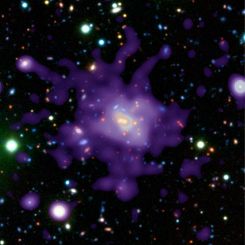 Galaxy Cluster in the Early Universe