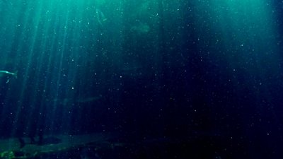 Mikroplar, Karanlıkta da Oksijen Üretebiliyor!