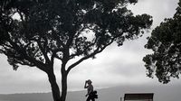 Moderate risk of thunderstorms as Cyclone Tam remains over Tasman Sea