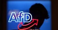 Germany’s spy agency walks back extremist label for AfD