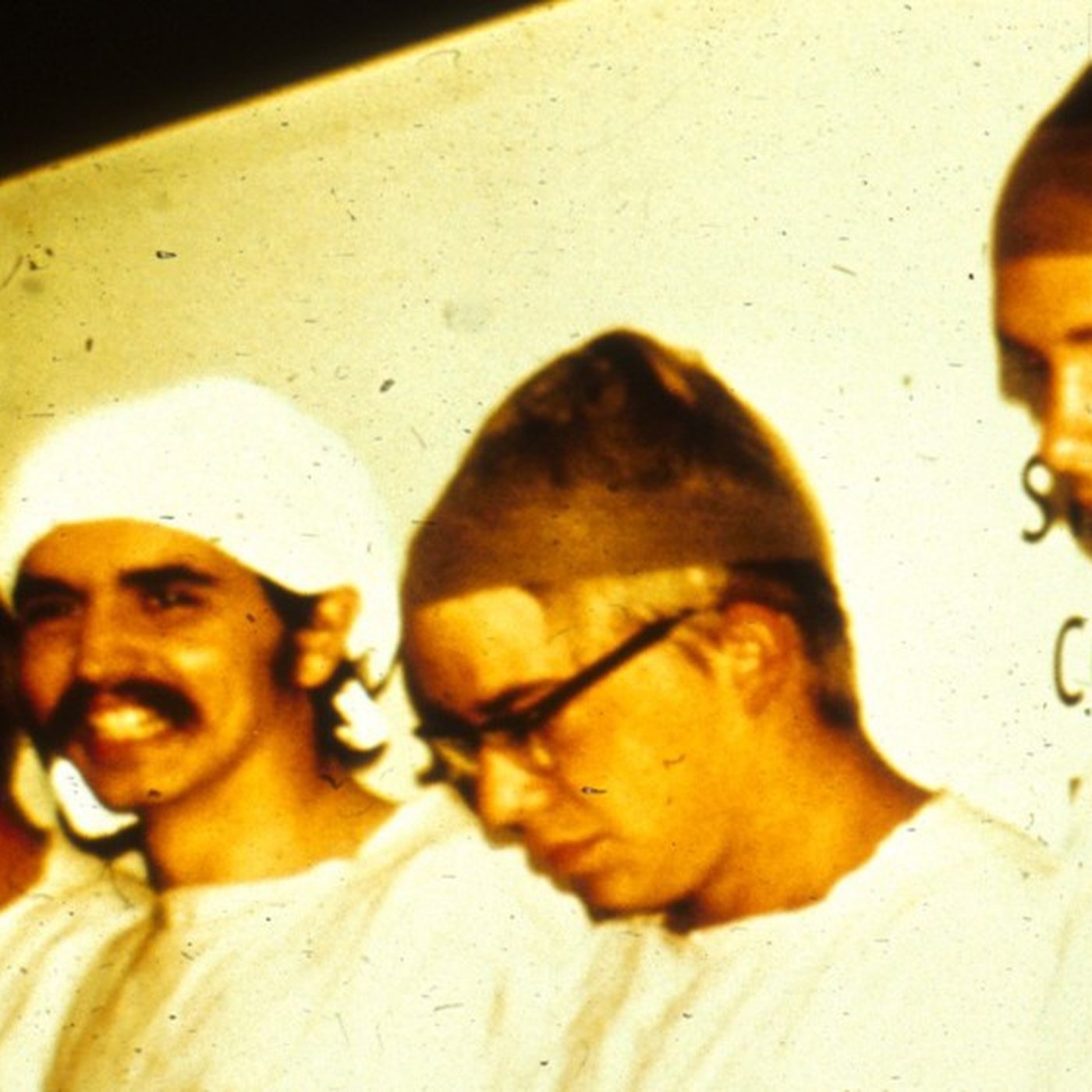 Evrim Ağacı ile Bilime Dair Her Şey!