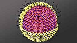 Kuantum Noktaları Nedir? Hangi Amaçla Kullanılır?