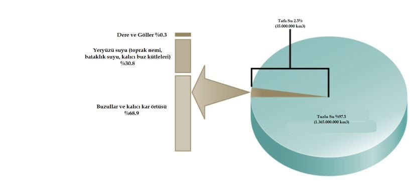 Dünya'da bulunan suyun yalnızca %2.5'i tatlı sudur. Bu tatlı suyun ise %1'inden daha azlık bir kısmı canlılar için erişilebilir konumdadır.