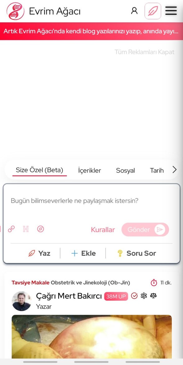 Uygulamanız kullanıma hazır.