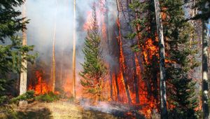 Fire Forces Evacuation Of 600 Residents From Altamira