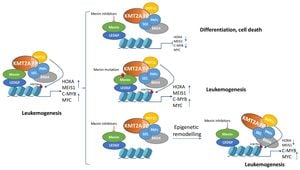 Menin Inhibitor MI-503 Exhibits Potent Anti-Cancer Activity Against Osteosarcoma