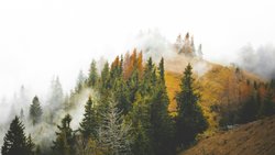 EN SERT ELEŞTİRİLER