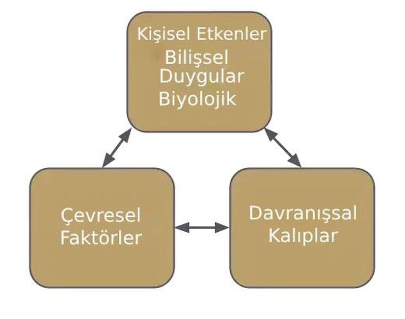 Sosyal Bilişsel Teori'nin şematize edilmiş hali.