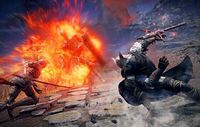 ‘Elden Ring: Nightreign’ will be easier for solo players after complaints