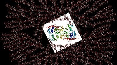 Glikojen Depo Hastalığı