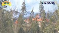 【速報】宮崎市山火事で避難指示　宮崎市鏡州地区の一部が対象　県は自衛隊に災害派遣要請｜FNNプライムオンライン