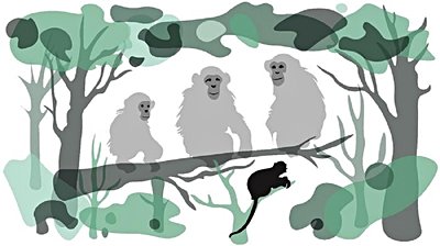 İş Birlikçi Avlanma, Sanıldığı Kadar Karmaşık Bilişsel Süreçler Gerektirmiyor!