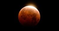 A blood moon total lunar eclipse will light up the night sky tonight. How and when you can view the celestial event.